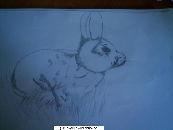 Picasso in persoana :D - Iepuras coconas , a fugit peste ...imas ? Sau - ~!Desene!~